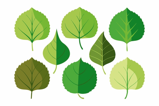 una serie de hojas verdes con un fondo verde