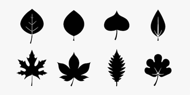 una serie de imágenes de plantas con hojas y la palabra "flor" en ellas