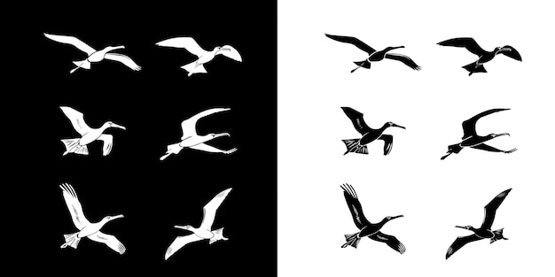 una serie de pájaros volando en el aire