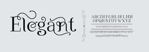 Serif fuente tipografía elegante letras aisladas guión logotipo carta vintage con belleza tipo de letra ligadura creativa clásica para el signo de boda símbolos ABC inglés caligráfico vectorial exacto
