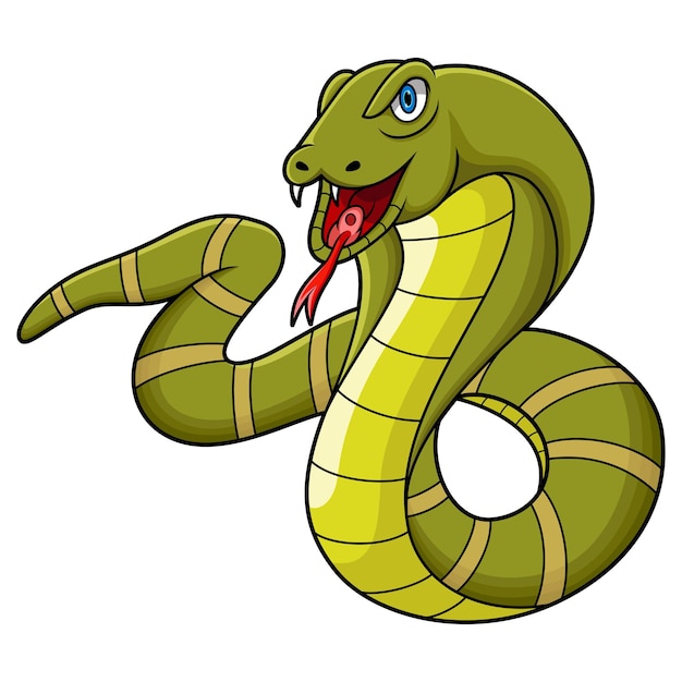 Serpiente cobra rey de dibujos animados sobre fondo blanco