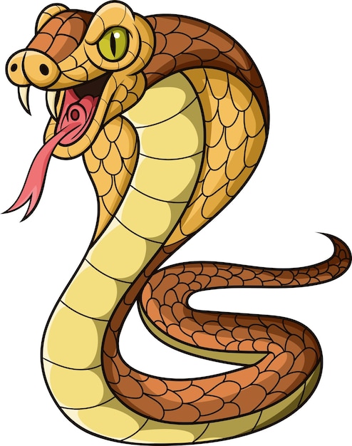 Serpiente cobra rey de dibujos animados sobre fondo blanco