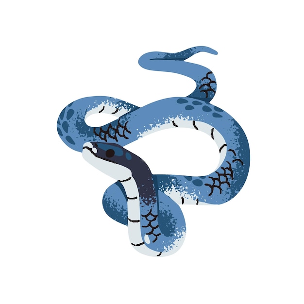 Serpiente corredor azul Serpiente exótica con escala brillante Boa de color tropical Fauna de la selva tropical sabana reptil animal de terrario Víbora de árbol Ilustración vectorial aislada plana sobre fondo blanco