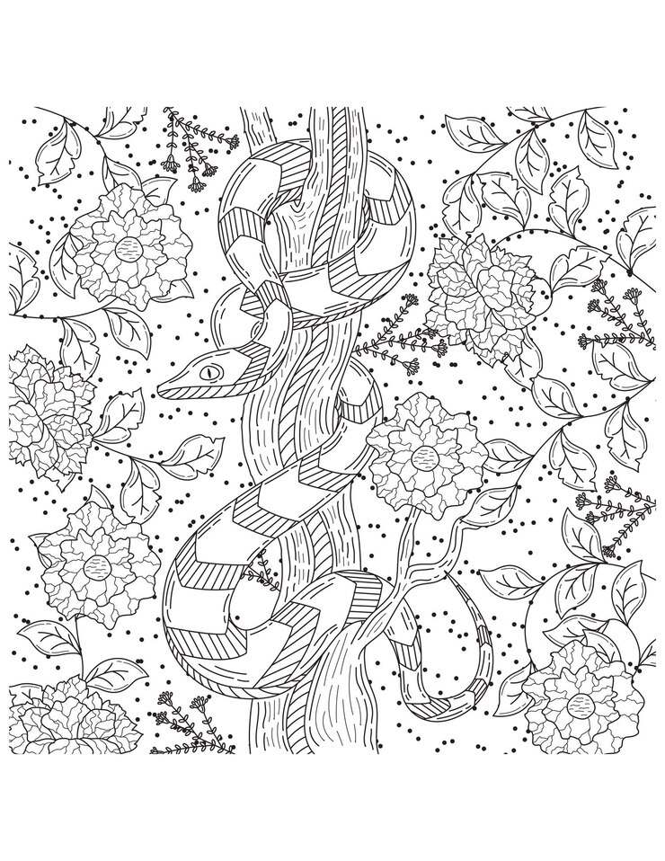 Vector serpiente y flores ilustración de boceto dibujado a mano para libro de colorear para adultos