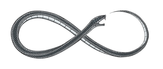 Serpiente en forma de signo de infinito