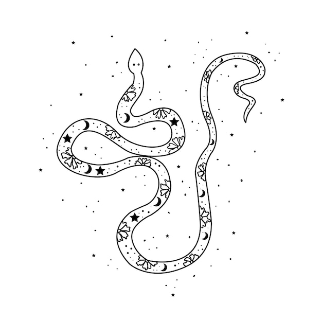 Serpiente mística con luna y estrellas Concepto oculto de alquimia mística