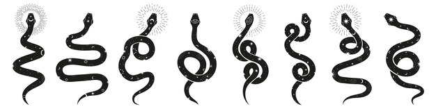 La serpiente mística Los símbolos de la serpiente mágica