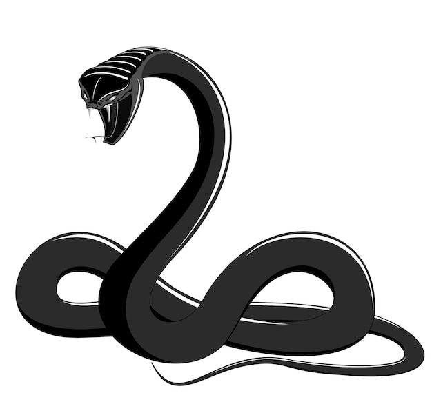 Serpiente negra y blanca