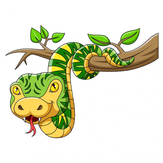 Vector serpiente verde en el arbol