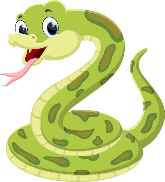 Serpiente verde de dibujos animados aislado sobre fondo blanco