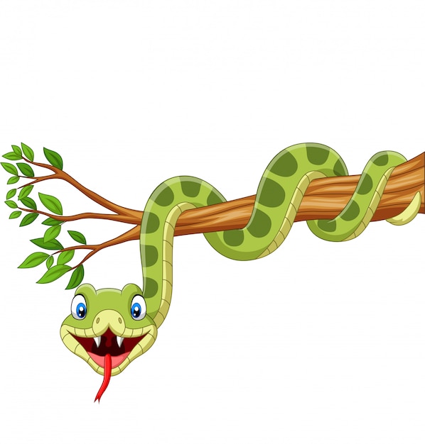 Vector serpiente verde de dibujos animados en la rama de un árbol