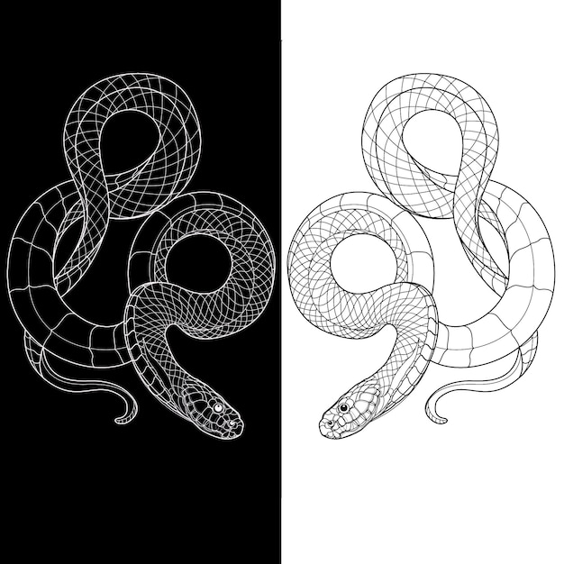 Vector serpiente