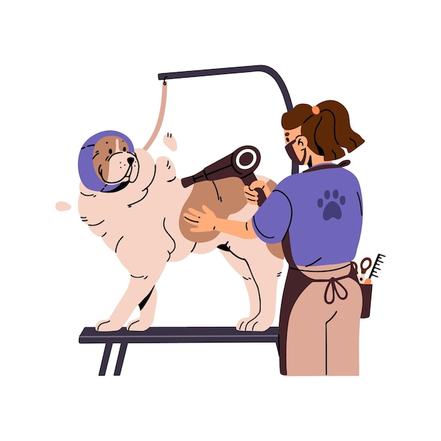Servicio profesional de cuidado de mascotas en el salón El peluquero seca el pelaje del perro feliz después de bañarse con el secador de pelo El adorable cachorro esponjoso en la mesa de peluquería Ilustración vectorial aislada plana sobre fondo blanco