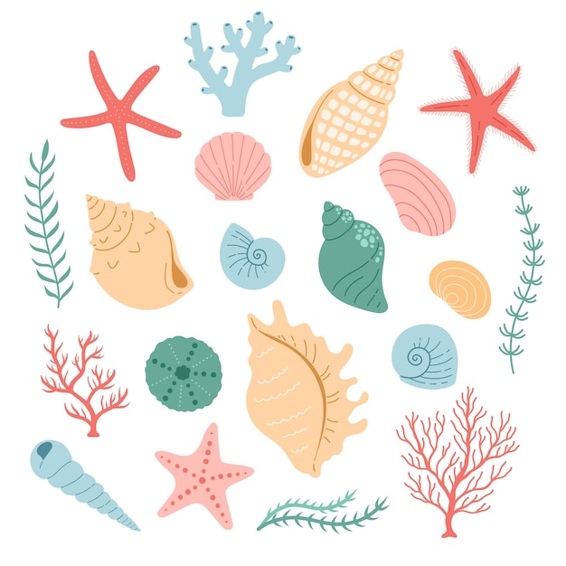 Seshell y coral vector ilustración color simple diseño plano