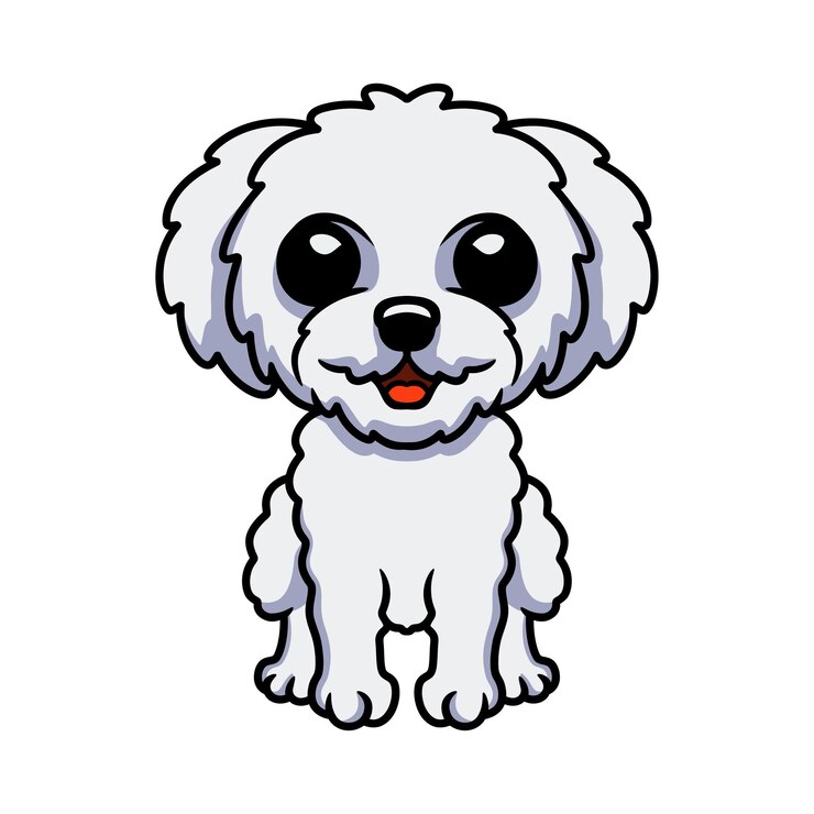 Vector sesión de dibujos animados lindo bichon frise