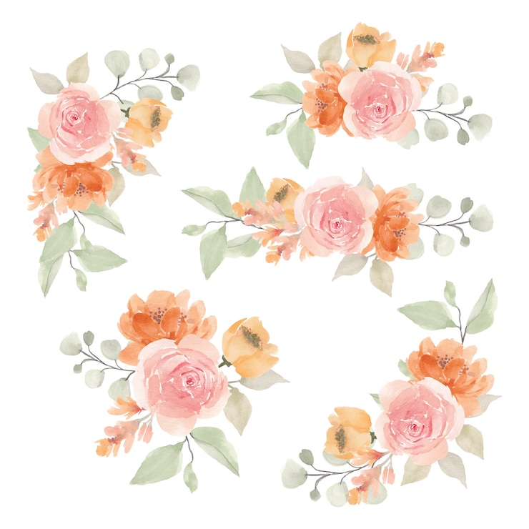 Vector set de acuarela ramo floral rosa pintado a mano