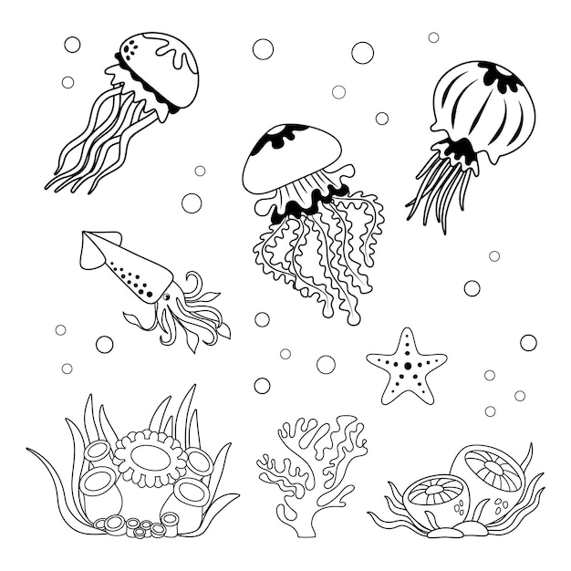 Vector set de algas anémonas y medusas en estilo lineal simple en blanco y negro