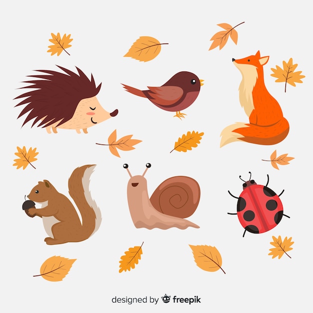 Vector set de animales de bosque otoñal