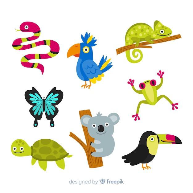 Vector set de animales tropicales dibujados a mano