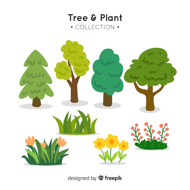 Vector set de árboles y plantas