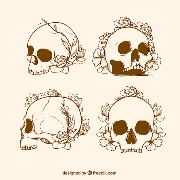 Set de bocetos de calavera con flores