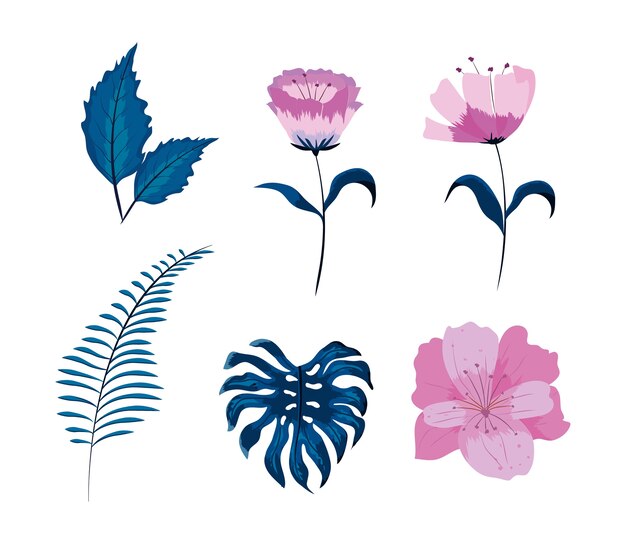 Set de bonitas flores