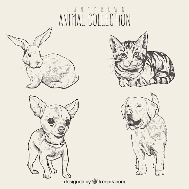 Vector set de bosquejos de bonitos animales