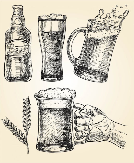 Set de cerveza Ilustración de vector de vasos y taza, lúpulo, malta y botella. Oktoberfest