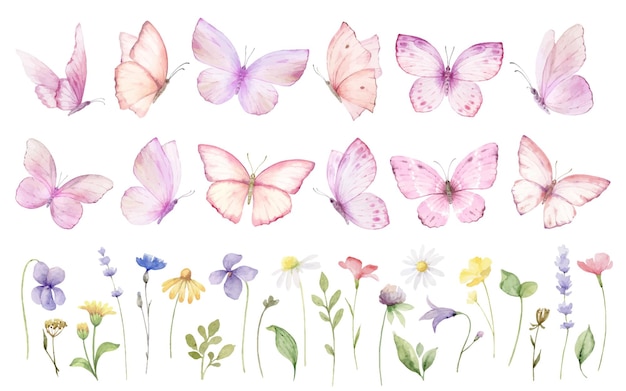 Set de clipart vectorial de mariposas rosas Flores y hierbas silvestres Ilustración pintada a mano en acuarela
