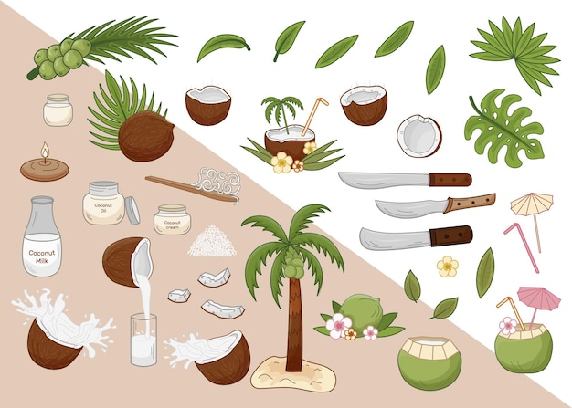 Set de cocos ilustraciones vectoriales tema producción de coco Media rodaja de coco hojas de palma machete aceite de coco leche crema copos de coco