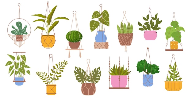 Set de colgadores de macramé para plantas