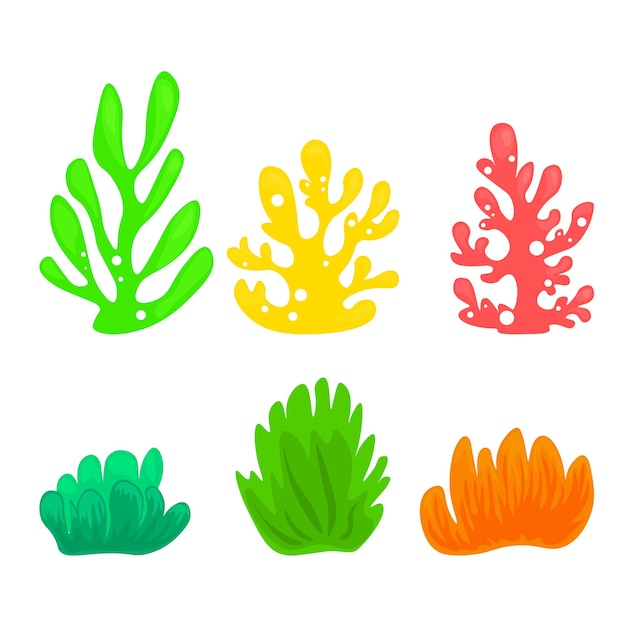 Set de dibujos animados de coral y algas elementales del océano archivo vectorial