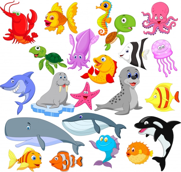 Set de dibujos animados de la vida marina.