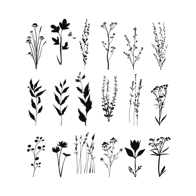 Set de diseño de ilustraciones artísticas de flores de color negro