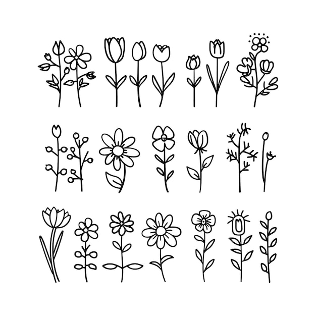 Set de diseño de ilustraciones artísticas de flores de color negro