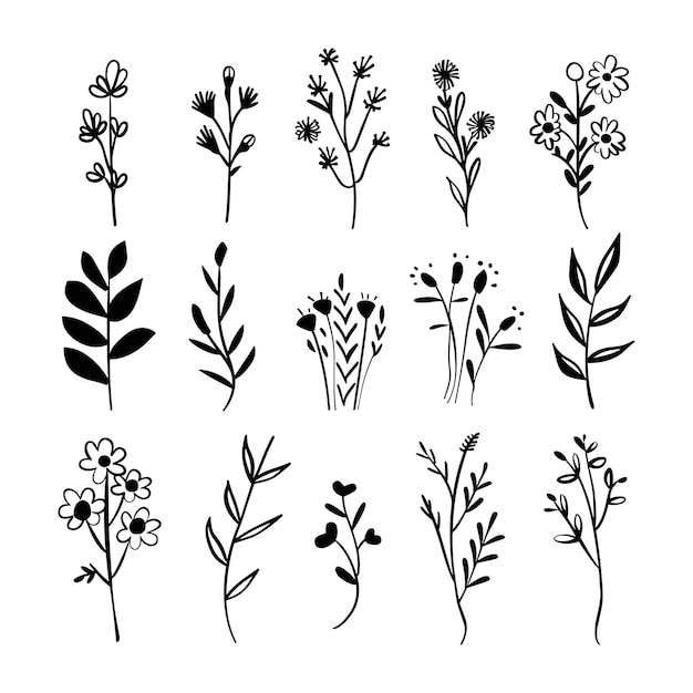 Set de diseño de ilustraciones artísticas de flores de color negro