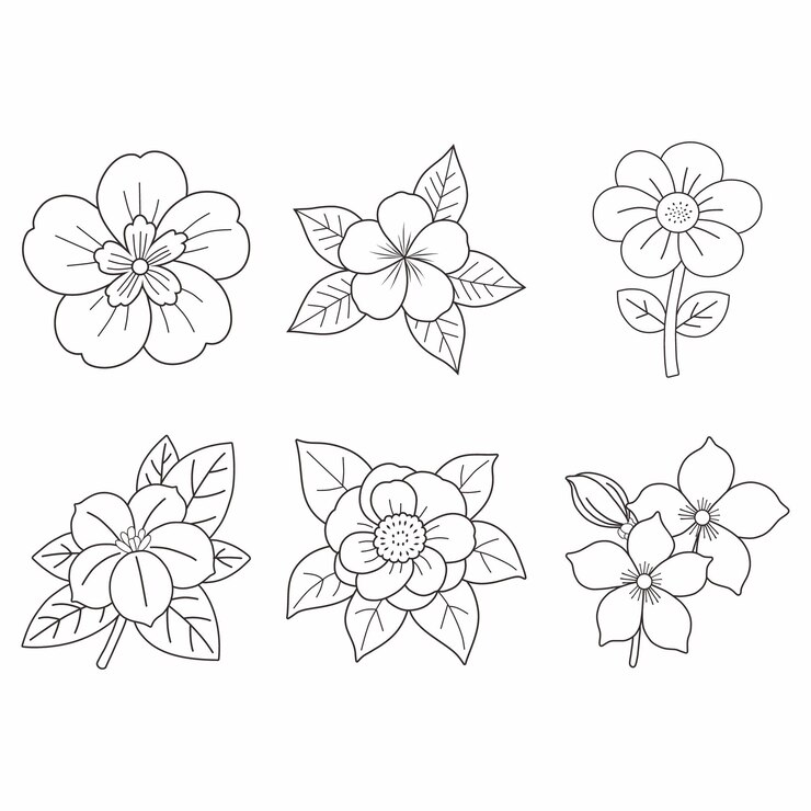 Set de flores para colorear por vectores para una ilustración tranquilizadora y relajante