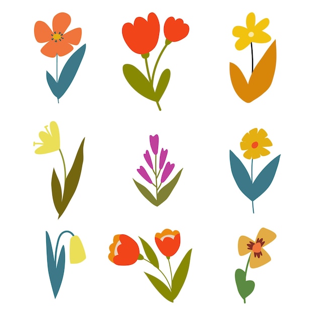 Set de flores de dibujos animados Ilustración de flores aisladas abstractas