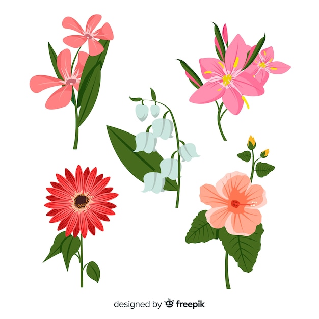 Vector set de flores y hojas