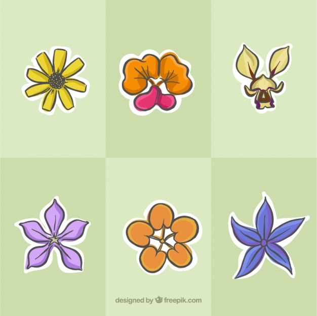 Vector set de flores tropicales dibujadas a mano