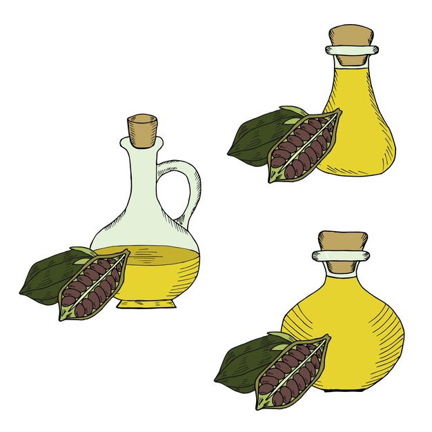 Vector set de frutos secos de botella de aceite de sésamo en color 1