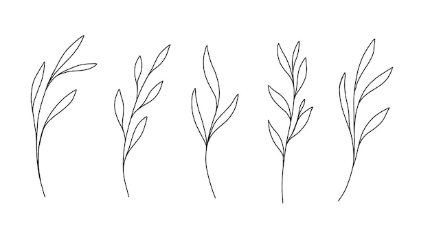 Set de garabatos de contorno marrón de otoño con hojas Adhesivos de contorno botánico monocromáticos Clipart vectorial de dibujos esquemáticos aislados sobre fondo blanco