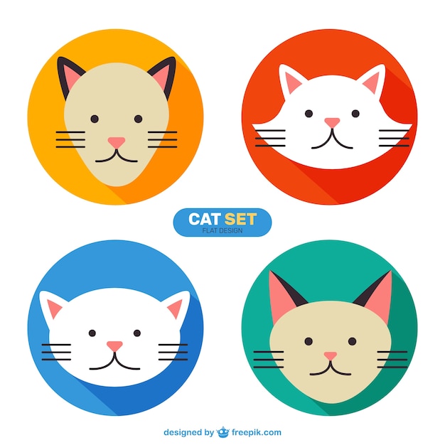 Vector set de gatos en diseño plano