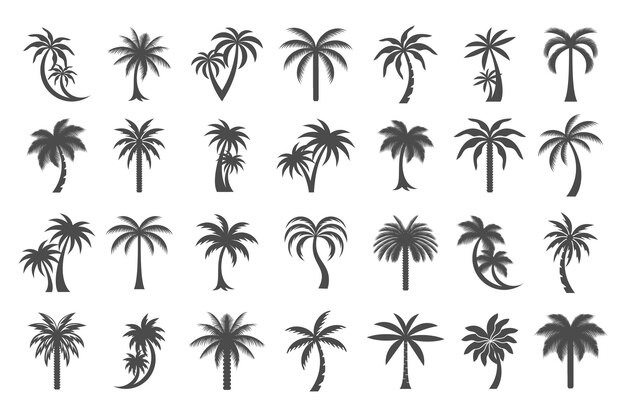 Set de iconos de palma de fecha minimalista Diseño del logotipo Ilustración vectorial de plantilla