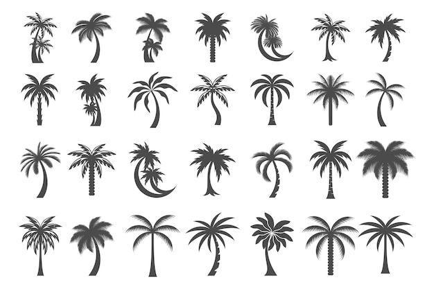Set de iconos de palma de fecha minimalista Diseño del logotipo Ilustración vectorial de plantilla