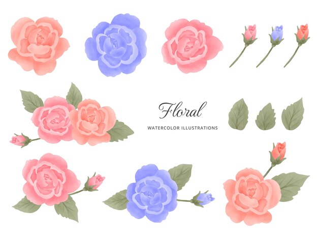 Set de ilustraciones florales en acuarela dibujadas a mano rosa con hojas