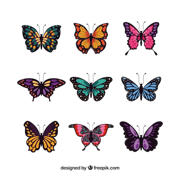 Set de mariposas elegantes 