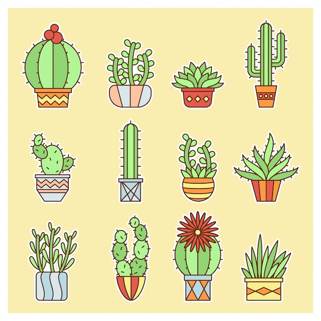 Vector set mini diseño cactus