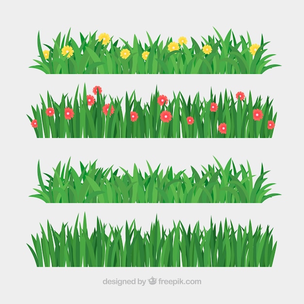 Set of lawn and flowers