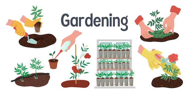 Set of vector illustrations about growing plants